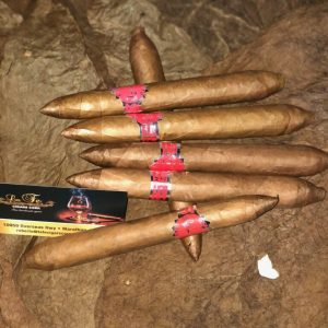 Salomon Natural 7x54