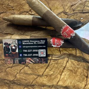 Salomon figurado 3 capa